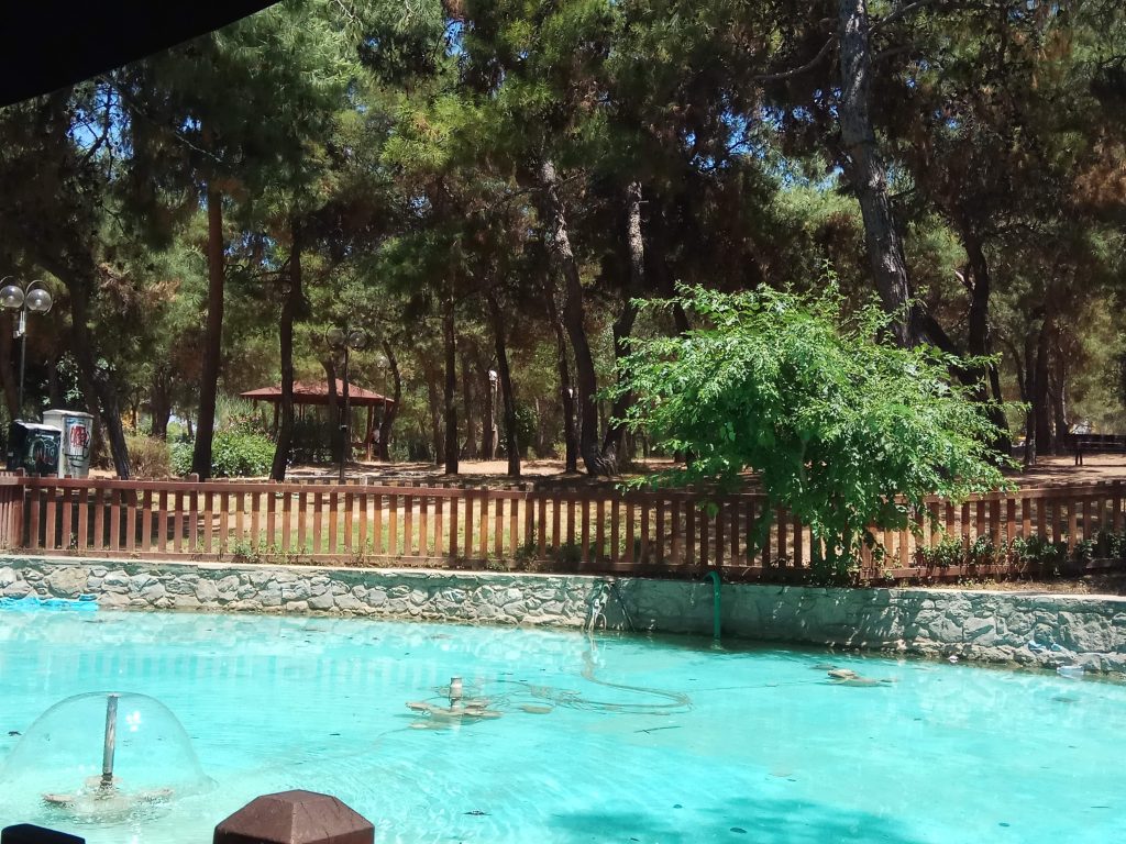 Holargos Grove, just a few meters from the apartment—a spot for food or coffee.