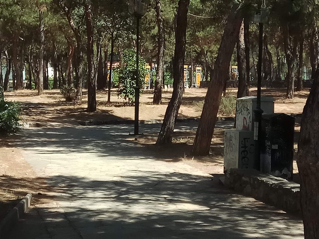 Holargos Grove, just a few meters from the apartment, with exercise equipment